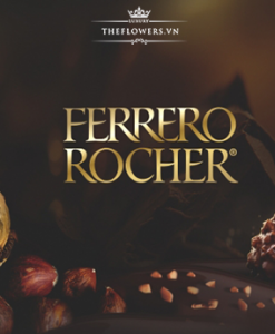 chocolate-ferrero-rocher-5-vien