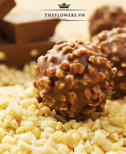 socola-ferrero-rocher-hazelnut-48-vien-600g
